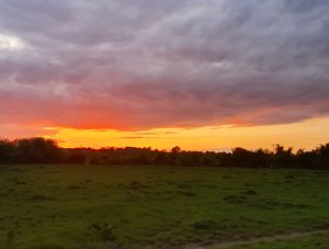 sunset over field - Karuna Counselling