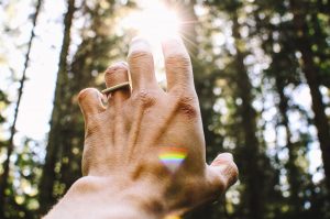 hand reach to sun in forest - Karuna Counselling