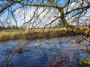 flowing river - Karuna Counselling