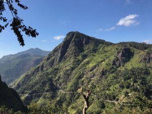 mountain, trees and sky - Karuna Counselling